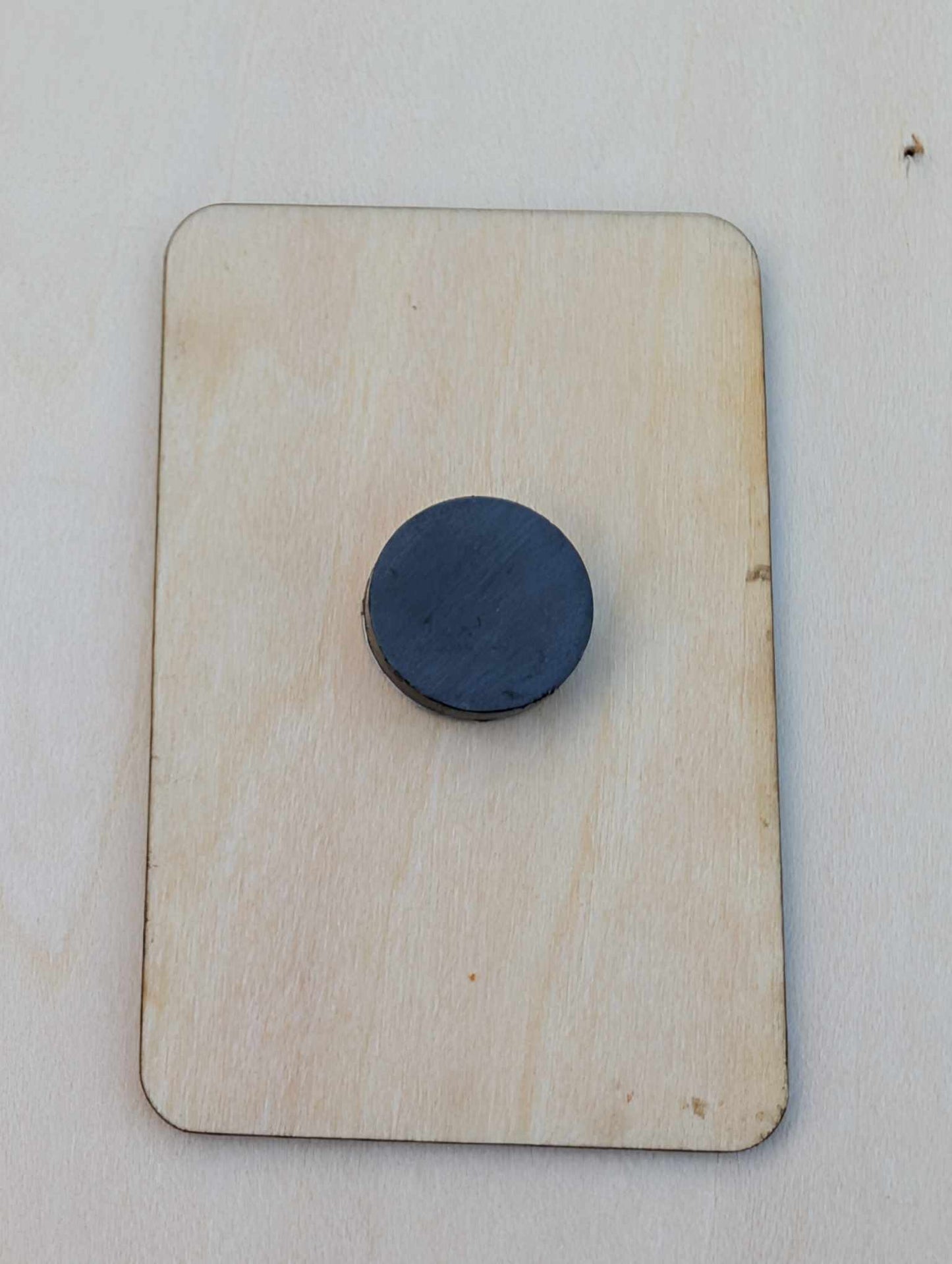 The Reader Tarot Magnet