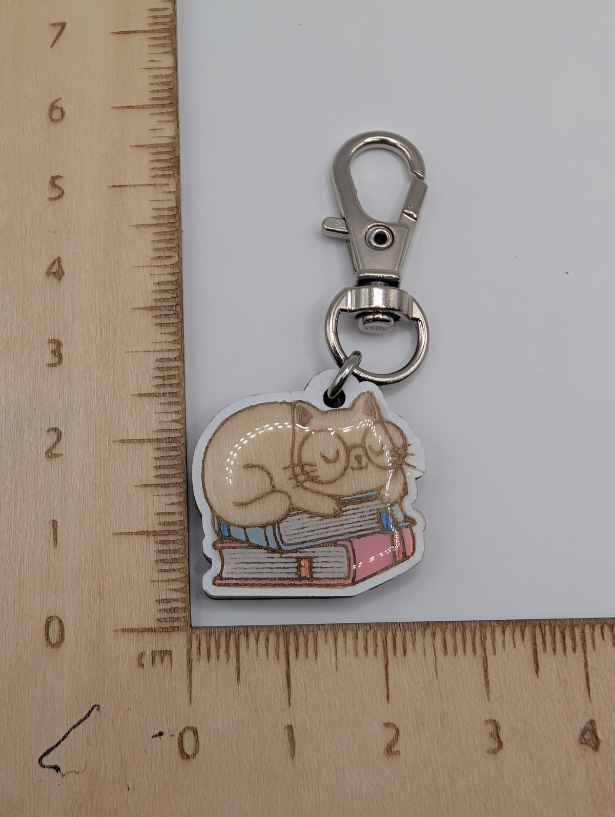 Cat on Book Stitch Marker or Zipper Pull