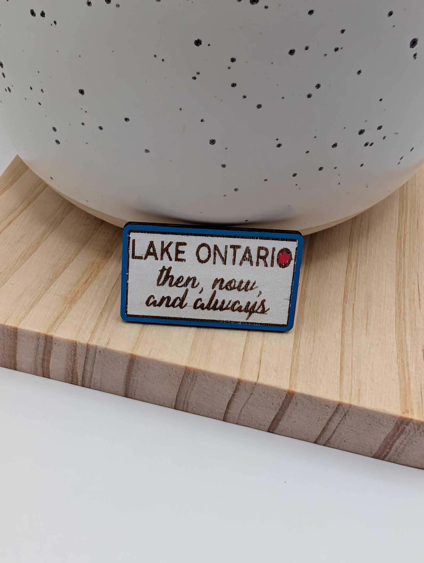 Lake Ontario, then, now, and always pin