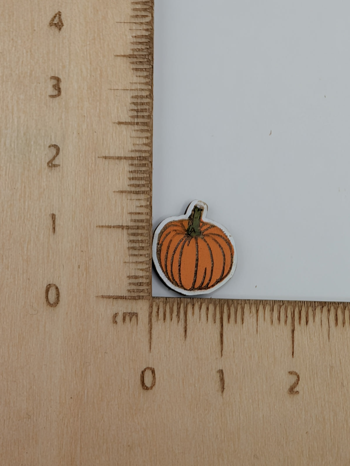 Pumpkin Studs